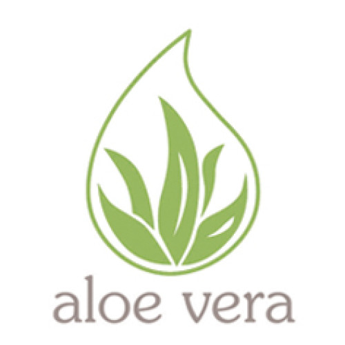 Μαξιλάρι Memory Aloe Classic 60x40x11 DIOMMI 44-288