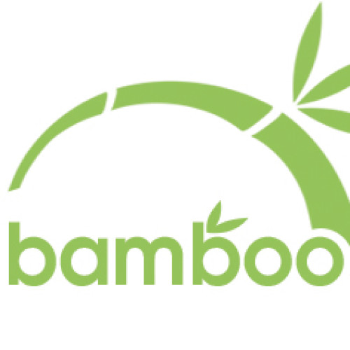 Μαξιλάρι Bambo Mix 50x70 DIOMMI 44-293