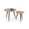 MENTONA 2, set of two coffee tables, color: golden oak / black DIOMMI V-CH-MENTONA_2-LAW