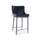 Επενδυμένο σκαμπό μπαρ Colin B H2 48x42x88 μεταλλική μαύρη βάση/μαύρο βελούδο bluvel 19 DIOMMI COLINBH2VCC